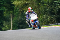 anglesey;brands-hatch;cadwell-park;croft;donington-park;enduro-digital-images;event-digital-images;eventdigitalimages;mallory;no-limits;oulton-park;peter-wileman-photography;racing-digital-images;silverstone;snetterton;trackday-digital-images;trackday-photos;vmcc-banbury-run;welsh-2-day-enduro